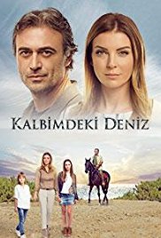 deniz poster